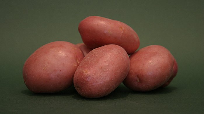 Punakuorinen peruna