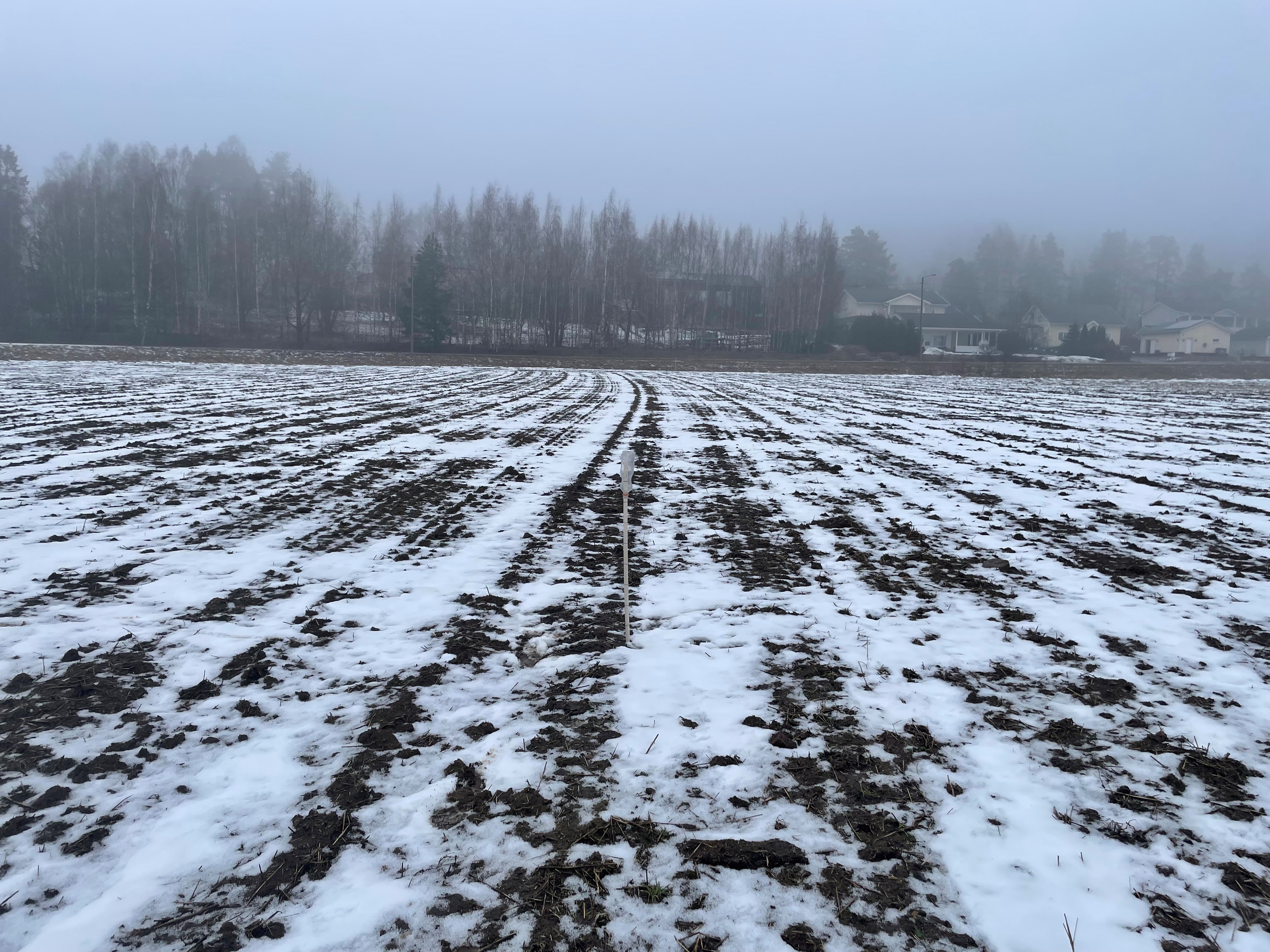 Yara Kotkaniemi 24.5.2025