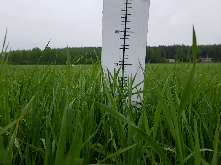 Nurmen D-arvoseuranta 2017