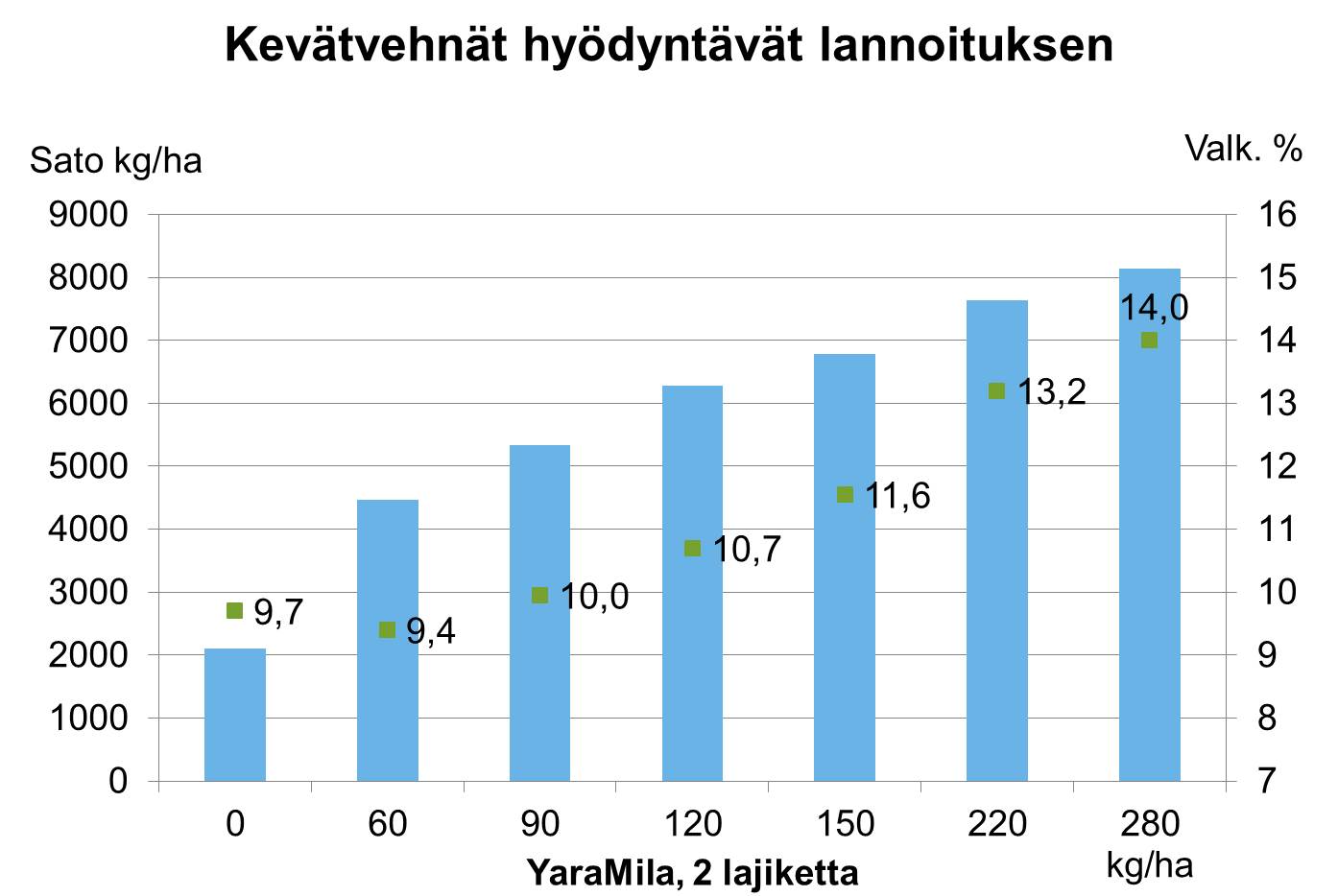 Kevätvehnät hyödyntävät lannoituksen