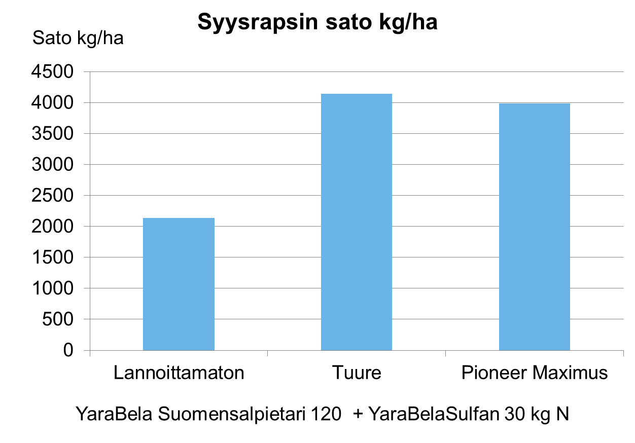 Yaran lannoitusratkaisu tuplasi syysrapsin sadon