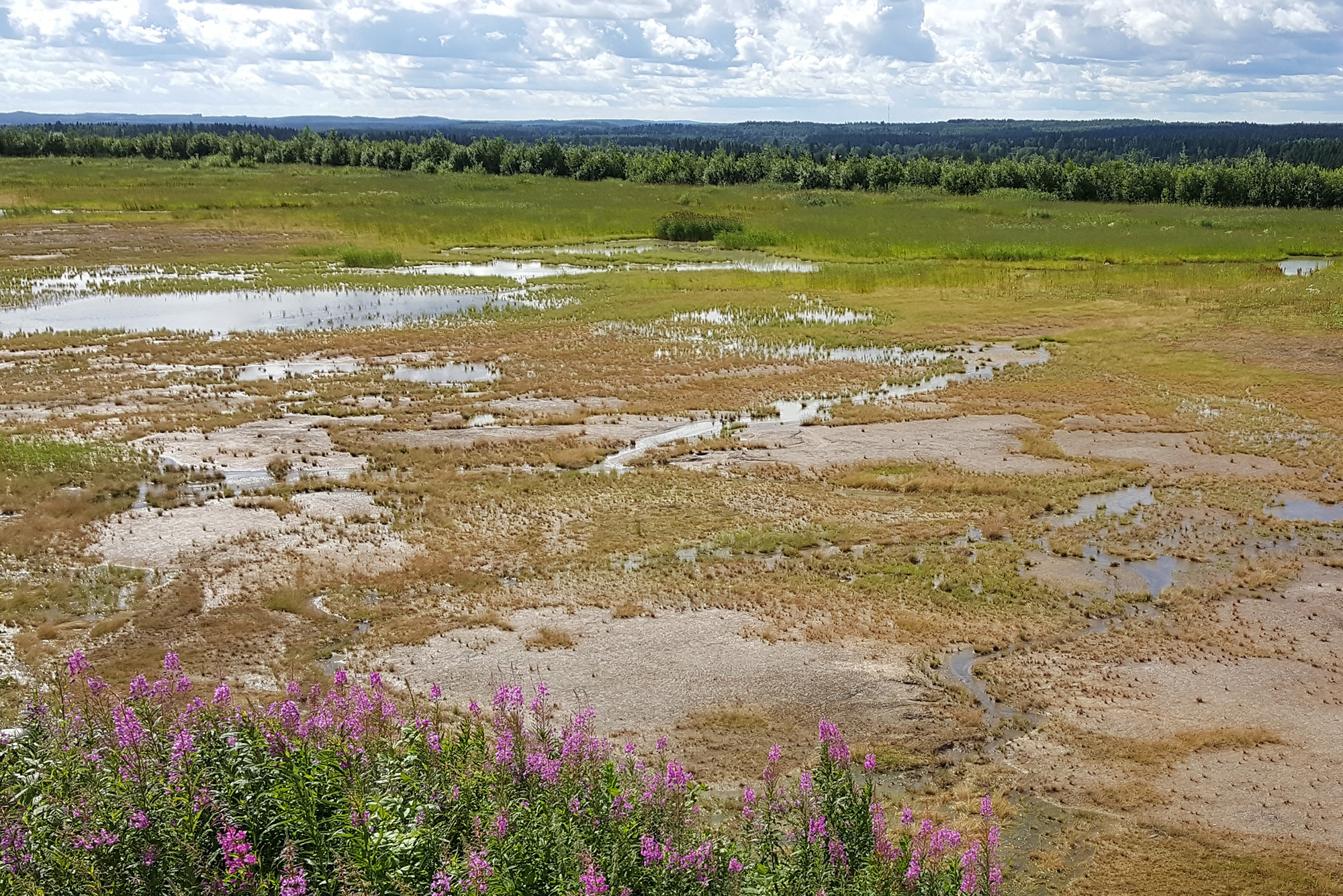 Kuvassa Raasion käytöstä poistettu Rikastushiekka-allas