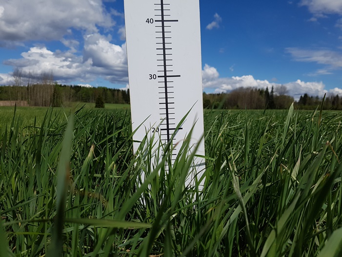 Nurmen D-arvoseuranta 2017