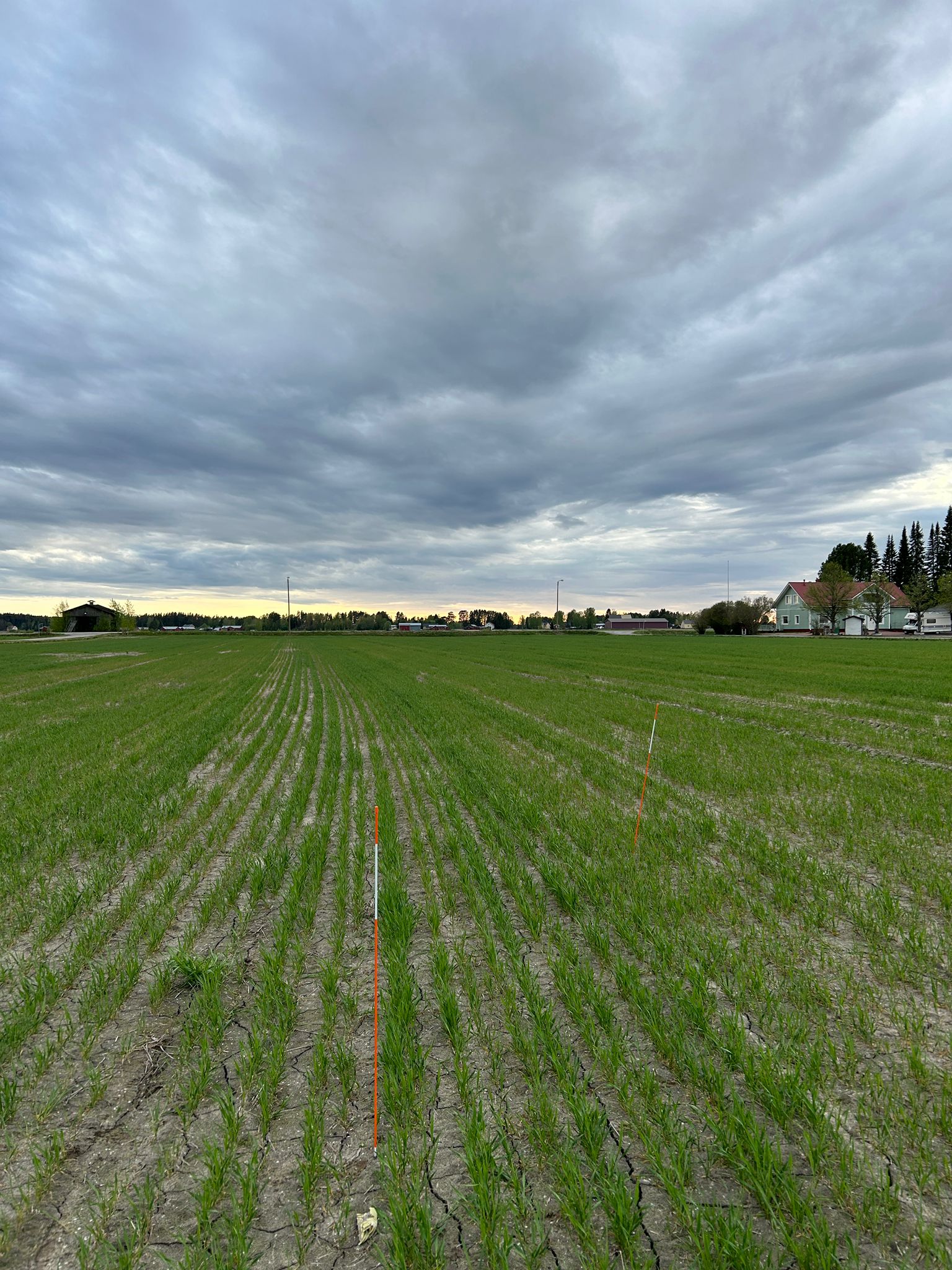 Lannoitusruudut, Lapua 22.5.