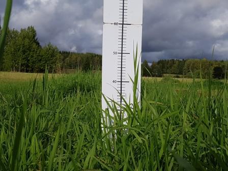 Nurmen 3. sadon D-arvoseuranta Yara Kotkaniemessä