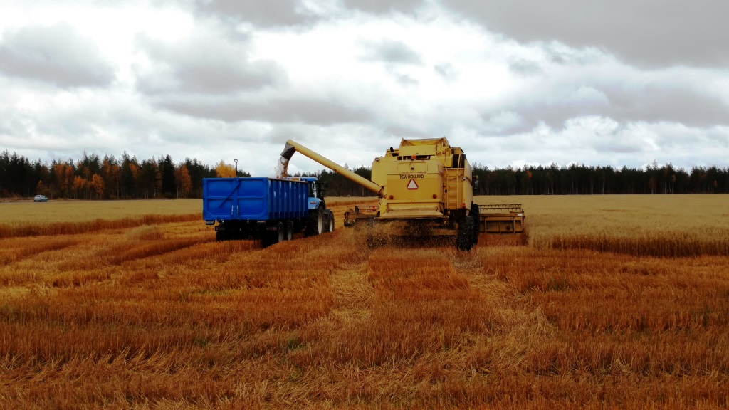Luomukaura lannoitettiin YaraVita-lehtilannoitteella.
