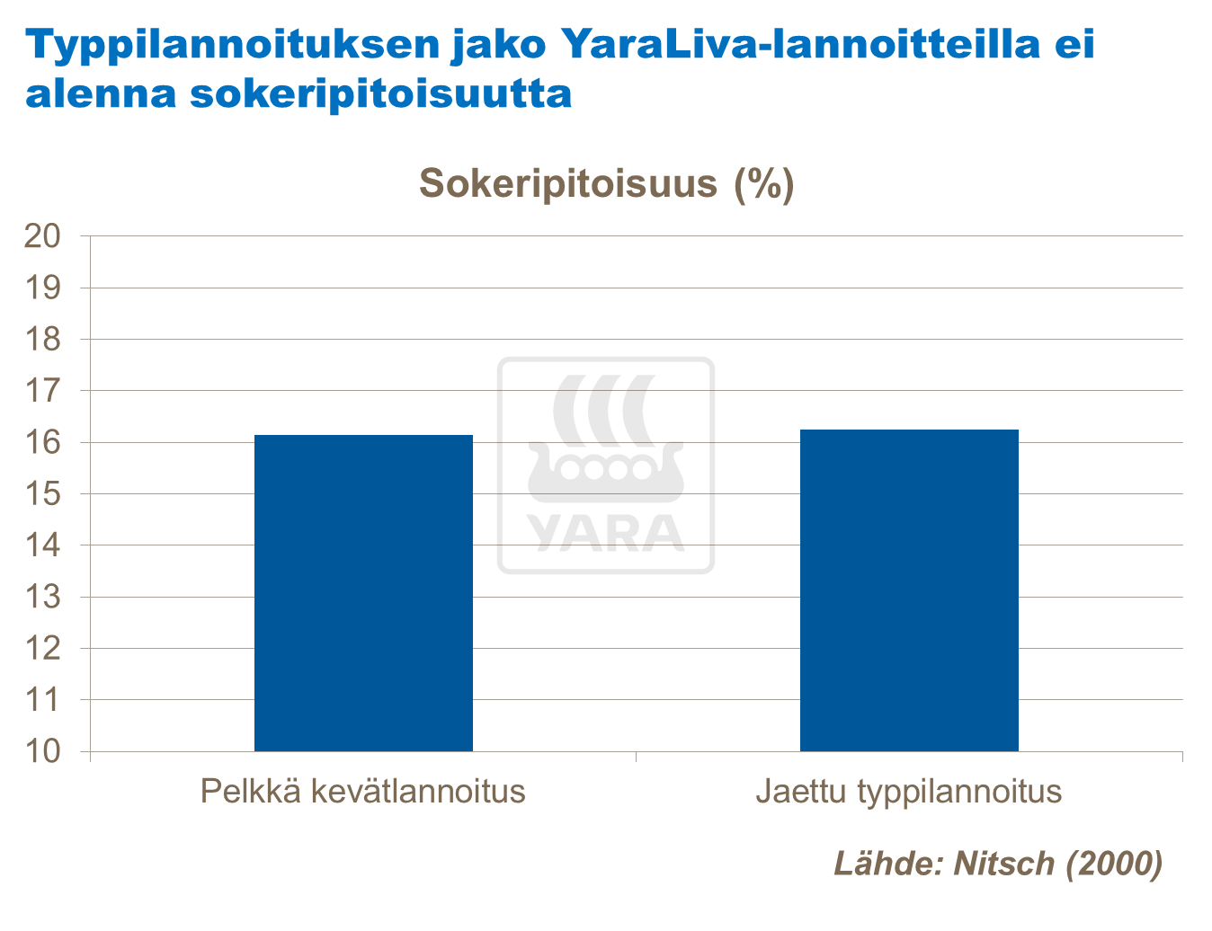 Typpilannoituksen jako YaraLiva-lannoitteilla ei alenna sokeripitoisuutta