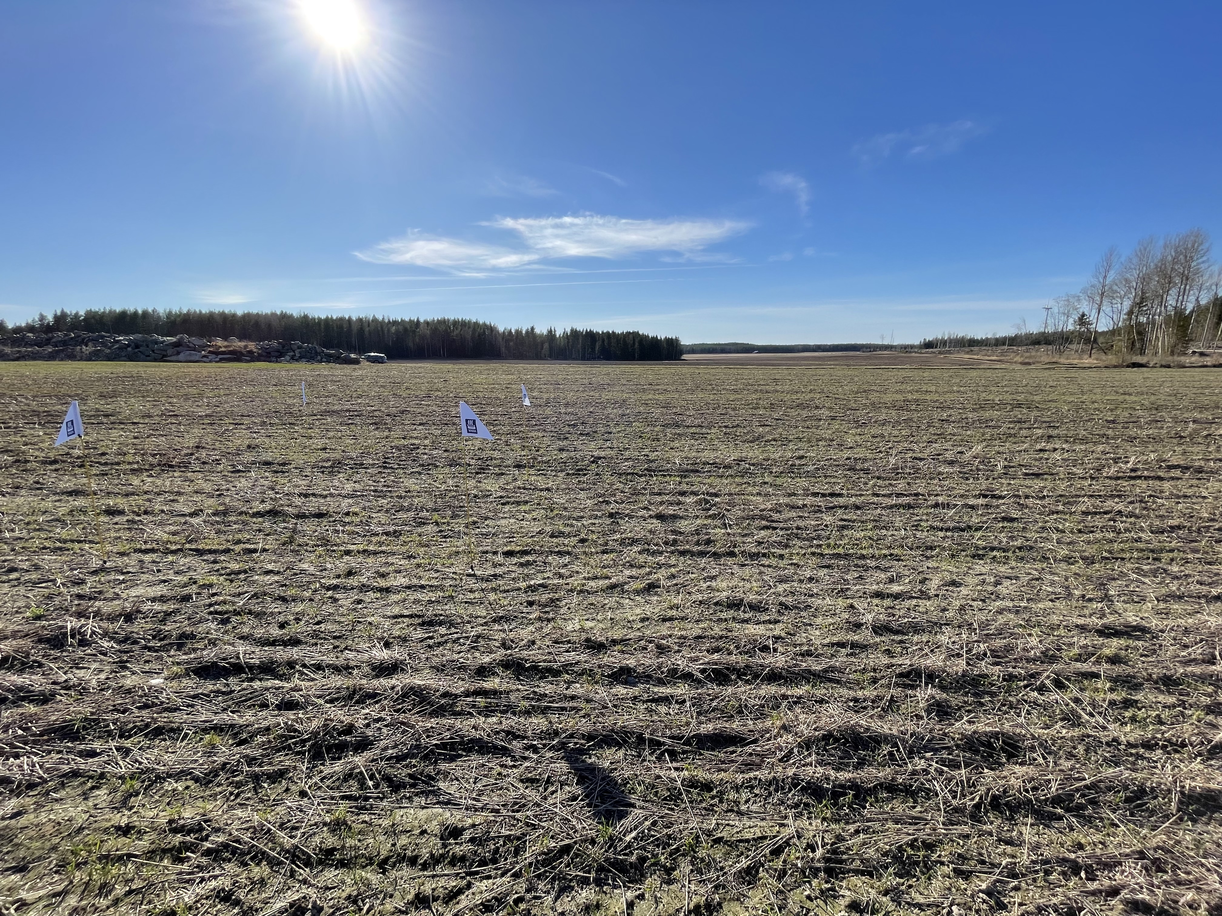 Nolla- ja ylilannoitusruudut 14.5., Uusikaarlepyy