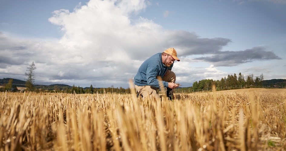 Testaa tilasi typenkäytön tehokkuus