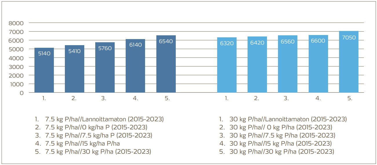 Ohran pitkäaikainen fosforikoe