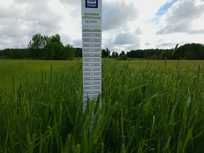 Nurmen D-arvoseuranta 2017