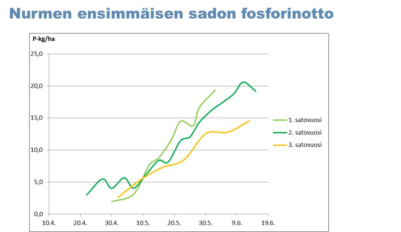 Nurmen ensimm&auml;isen sadon fosforinotto