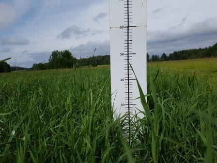 Nurmen 2. sadon D-arvoseuranta Yara Kotkaniemessä