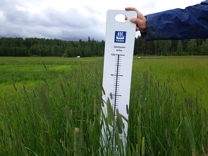 Nurmen D-arvoseuranta 2017