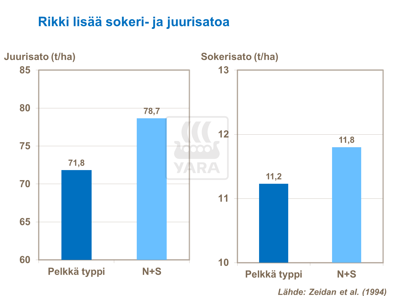 Rikki lisää sokerijuurikkaan sokeri- ja juurisatoa