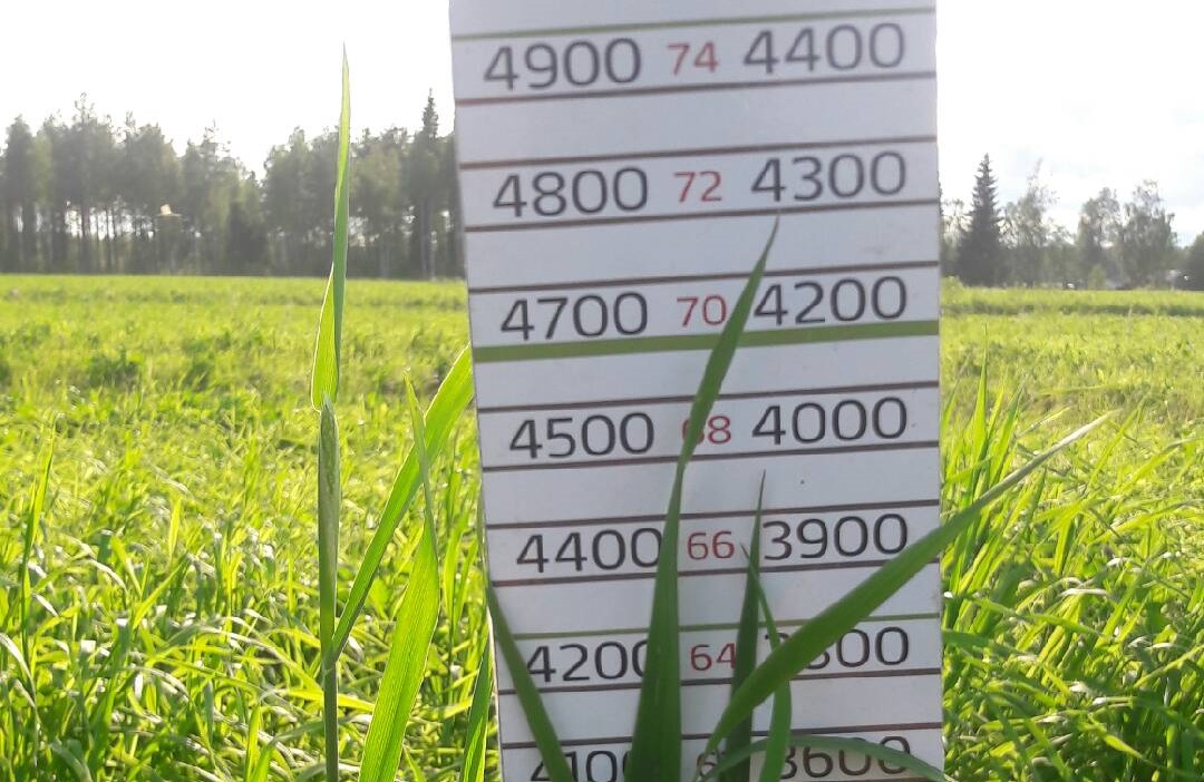 Nurmen D-arvoseuranta 2017