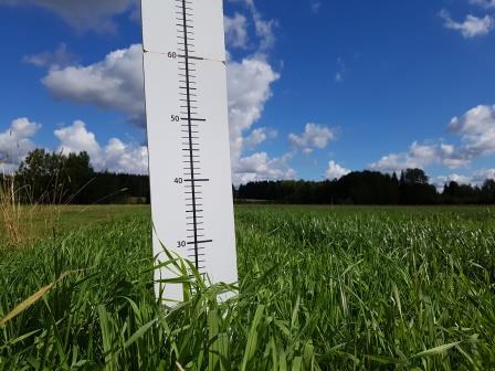 Nurmen 3. sadon D-arvoseuranta Yara Kotkaniemessä