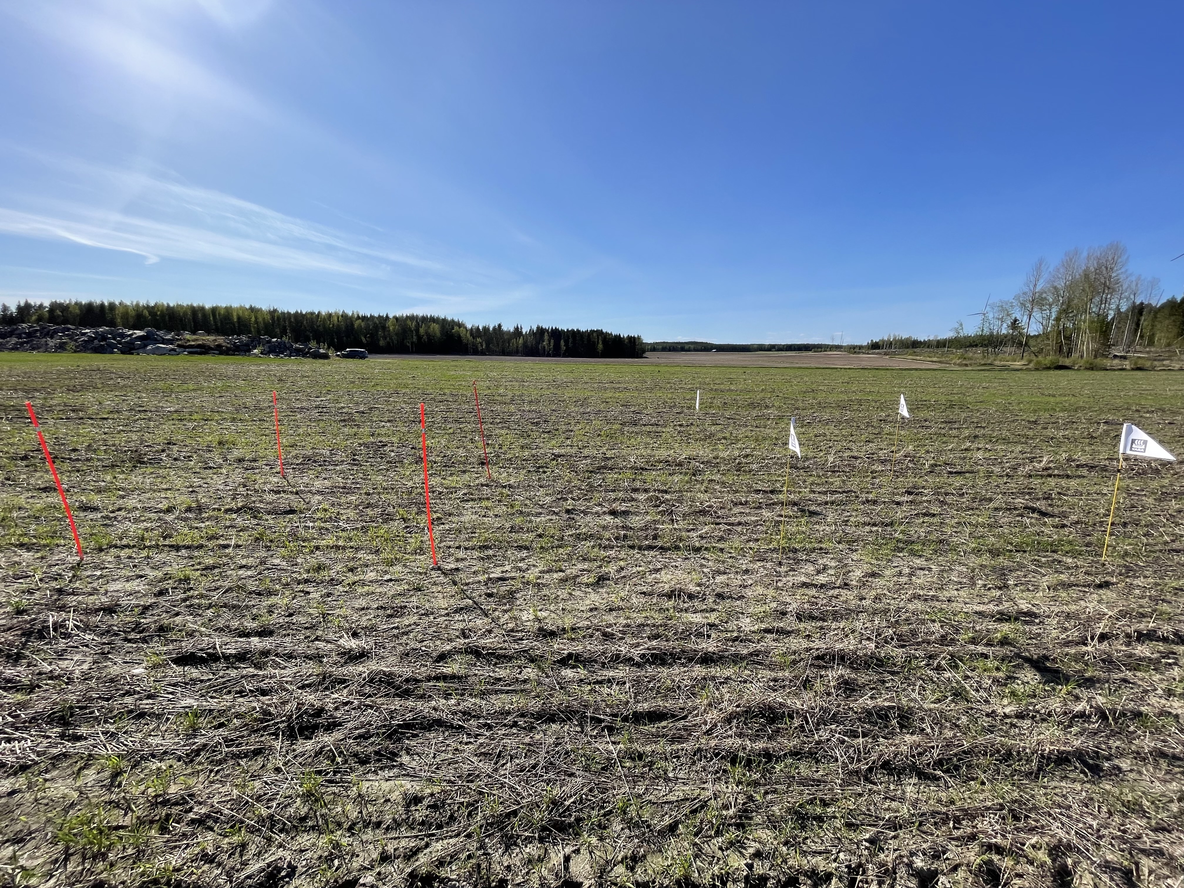 Uusikaarlepyy ruudut 20.5., kuva 1