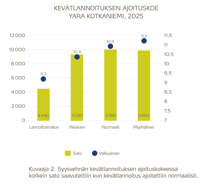 Syysvehnän kevätlannoituksen ajoituskokeessa korkein sato saavutettiin kun kevätlannoitusajoitettiin normaalisti. 