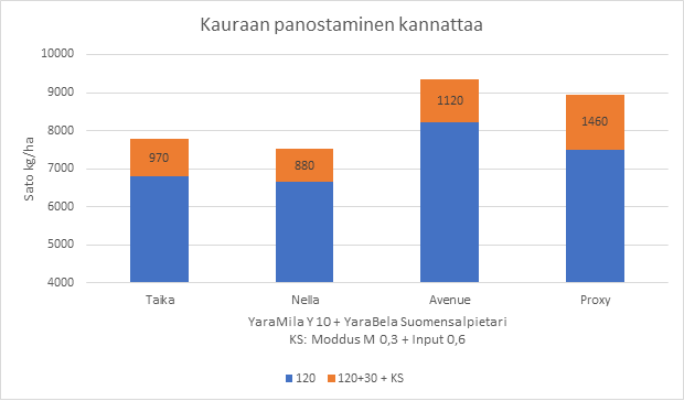 Kasvuohjelmakoe, kaura. Yara Kotkaniemi 2020.