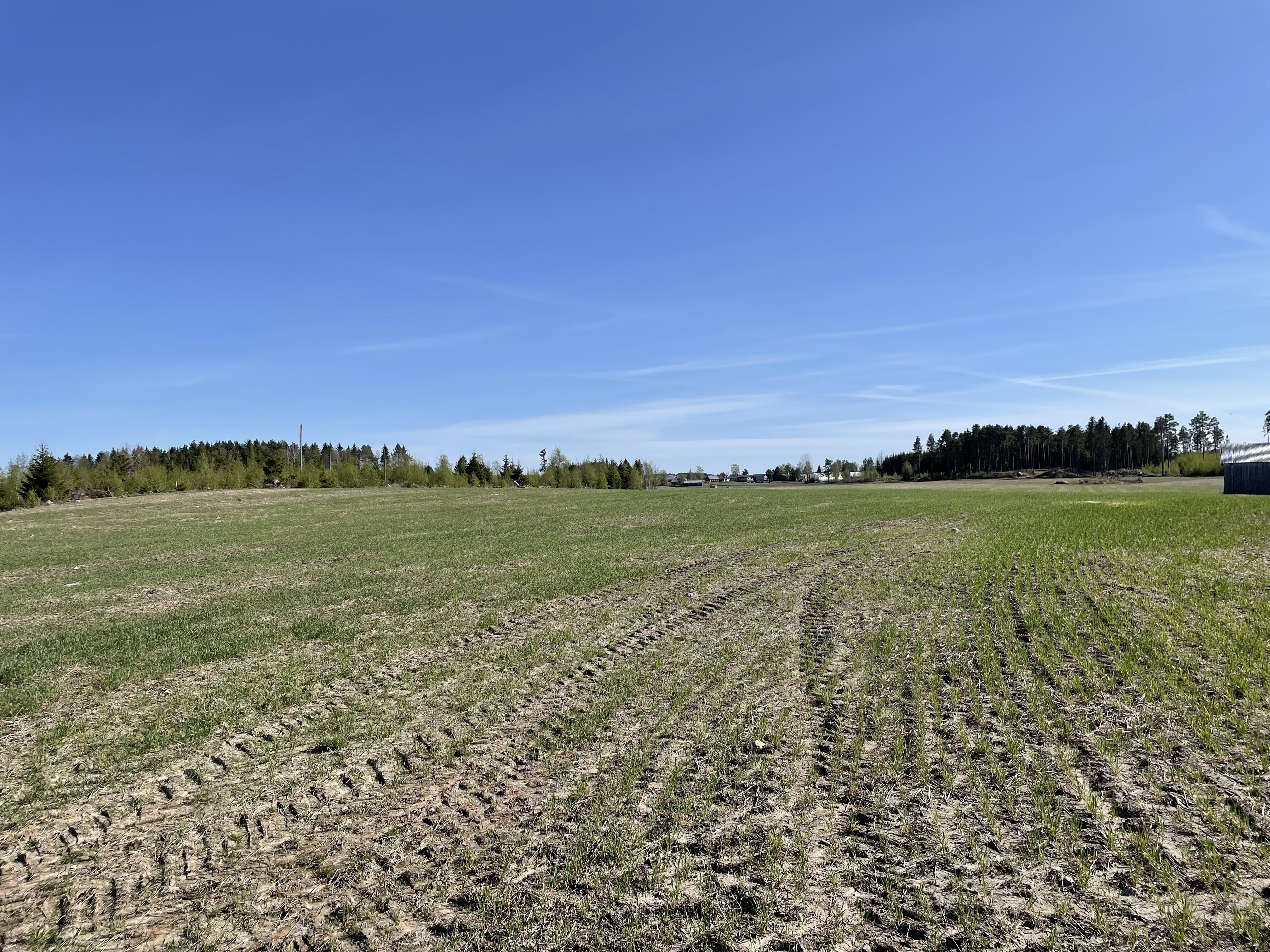 Uusikaarlepyy ruudut 20.5., kuva 2