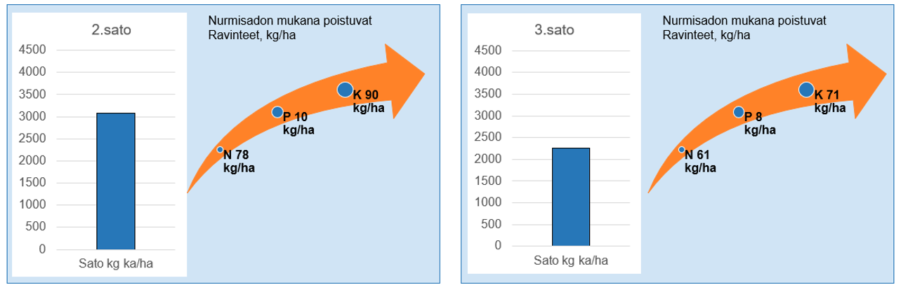 Kuva 1. Toisen ja kolmannen nurmisadon mukana poistuu merkittäviä määriä ravinteita.