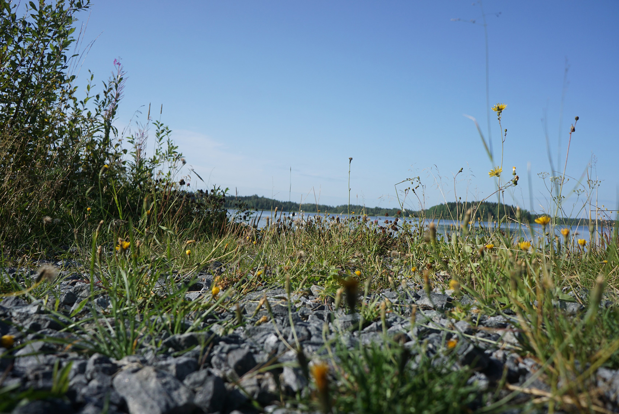Kuva kaivosalueen luonnosta