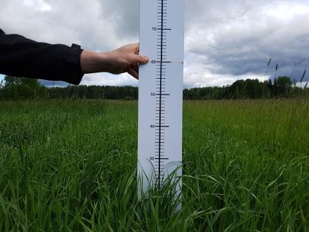 Nurmen 2. sadon D-arvoseuranta Yara Kotkaniemessä