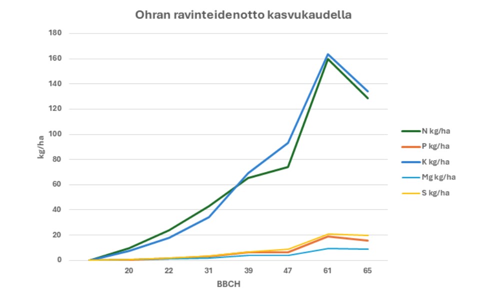Ohran ravinteiden oto