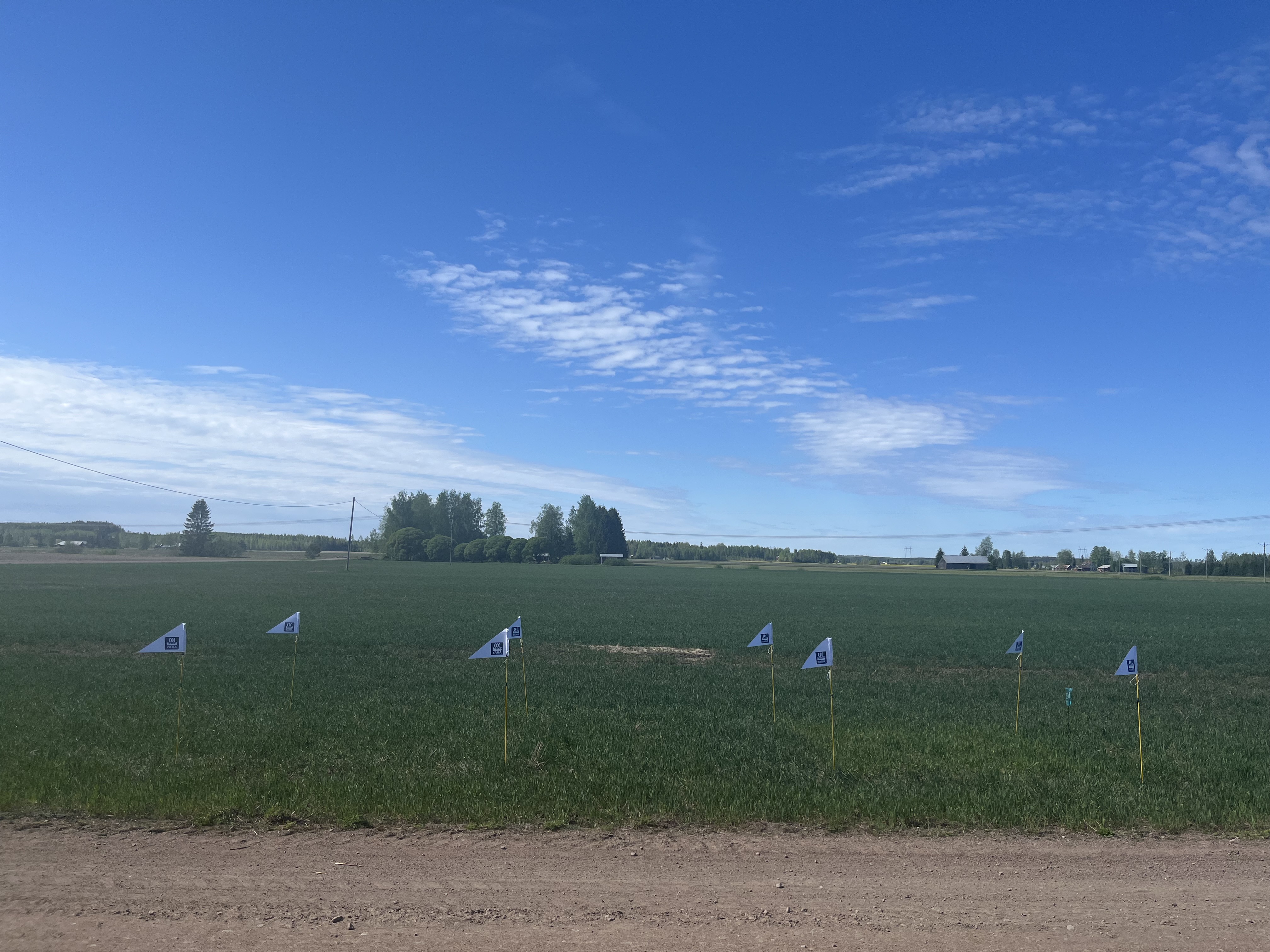 Lannoitusruudut, Löytty 20.5.