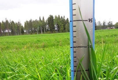 Nurmen ensimmäisen sadon D-arvoseuranta Vaalassa