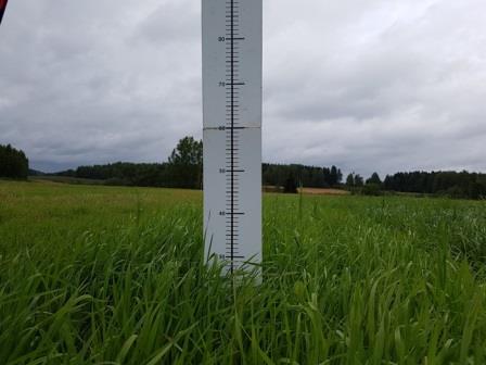 Nurmen 3. sadon D-arvoseuranta Yara Kotkaniemessä