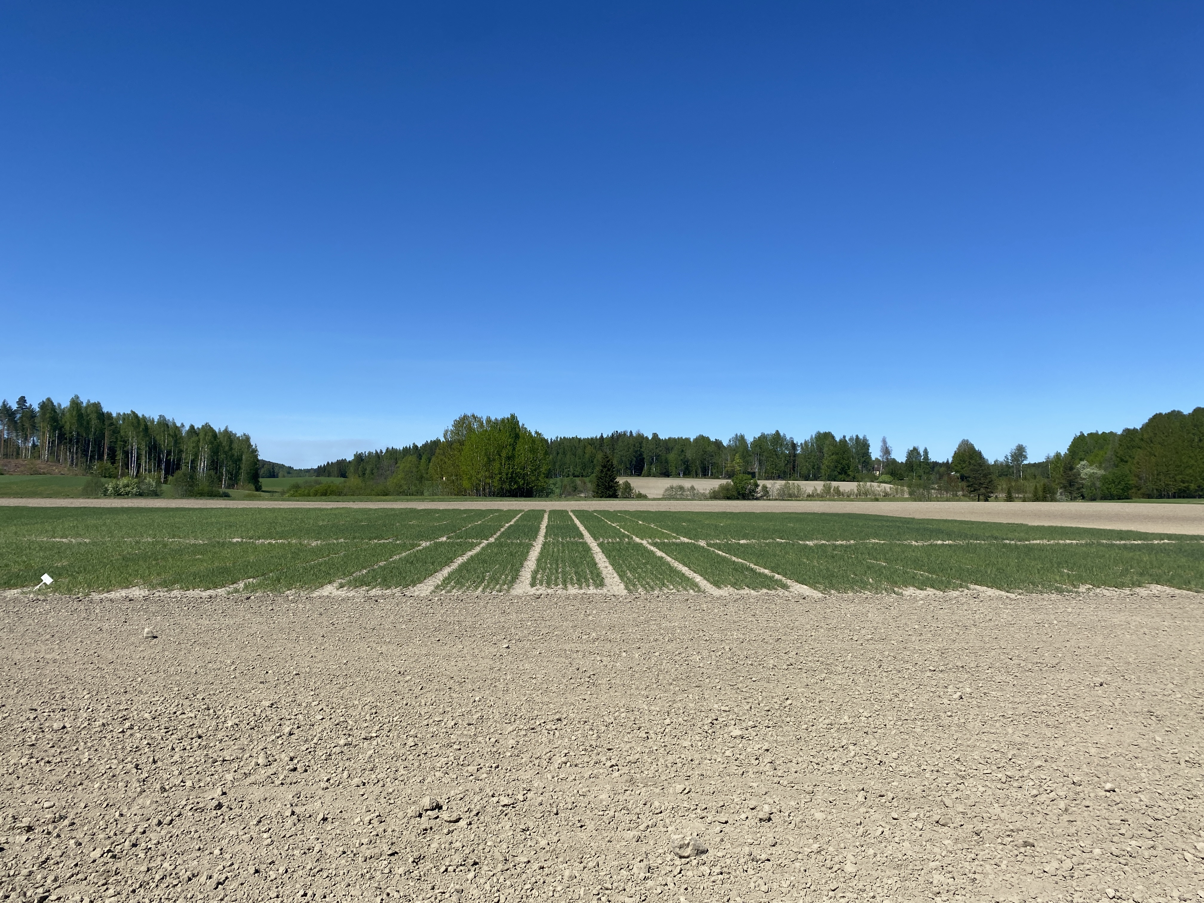 Lannoitusruudut, Vihti