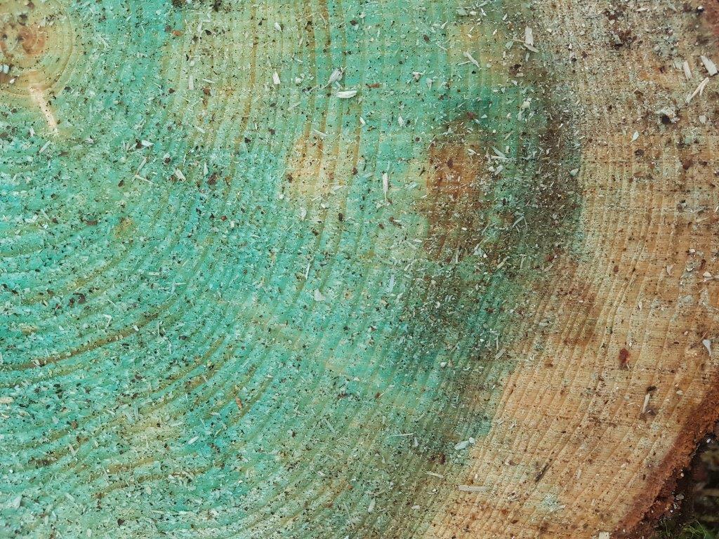 Kantokate on sininen liuos, joka levitetään kantoon. Kantokatteen avulla estetään männyn ja kuusen juurikäävän leviäminen.