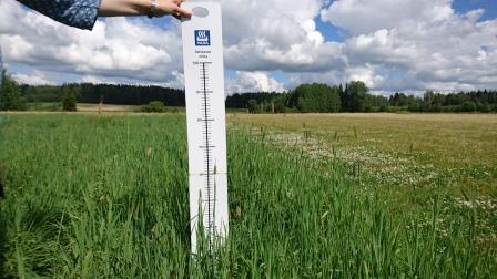 Nurmen 2. sadon D-arvoseuranta Yara Kotkaniemessä