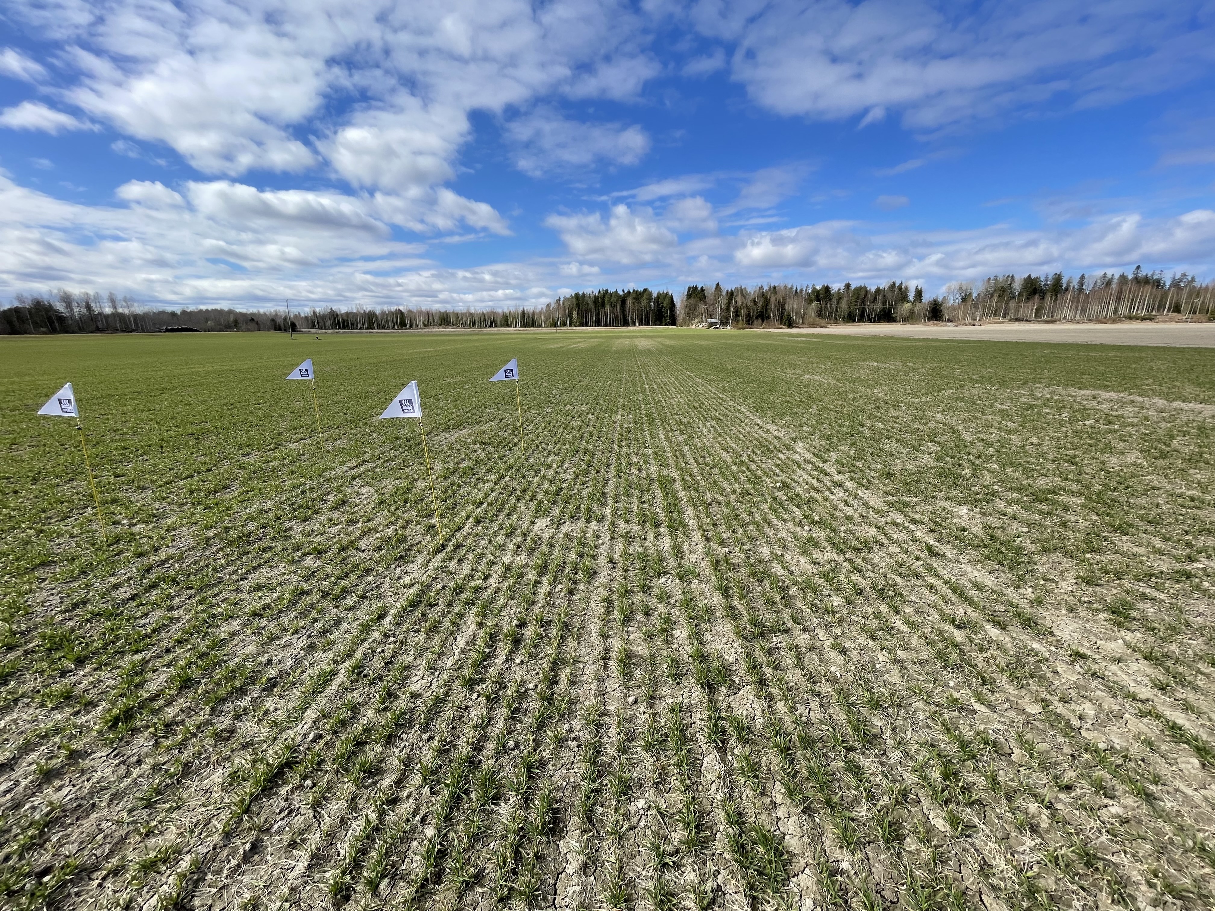 Kasvustokuva, Vöyri 7.5.