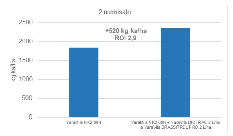 Alkukesällä nurmet kärsivät Kotkaniemessä kuivuusstressistä.