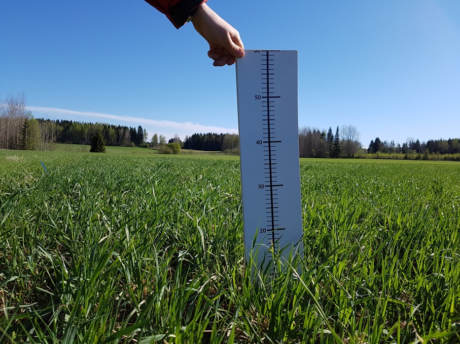 Nurmen D-arvoseuranta 2017