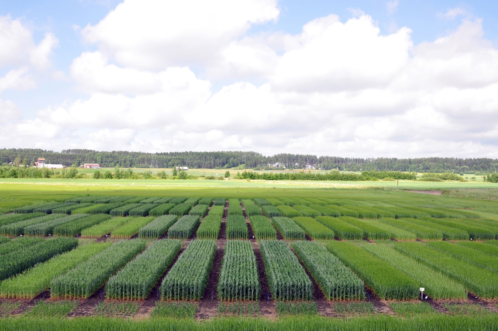 Euroopan lannoitetuottajien tuotevastuullisuus-ohjelma