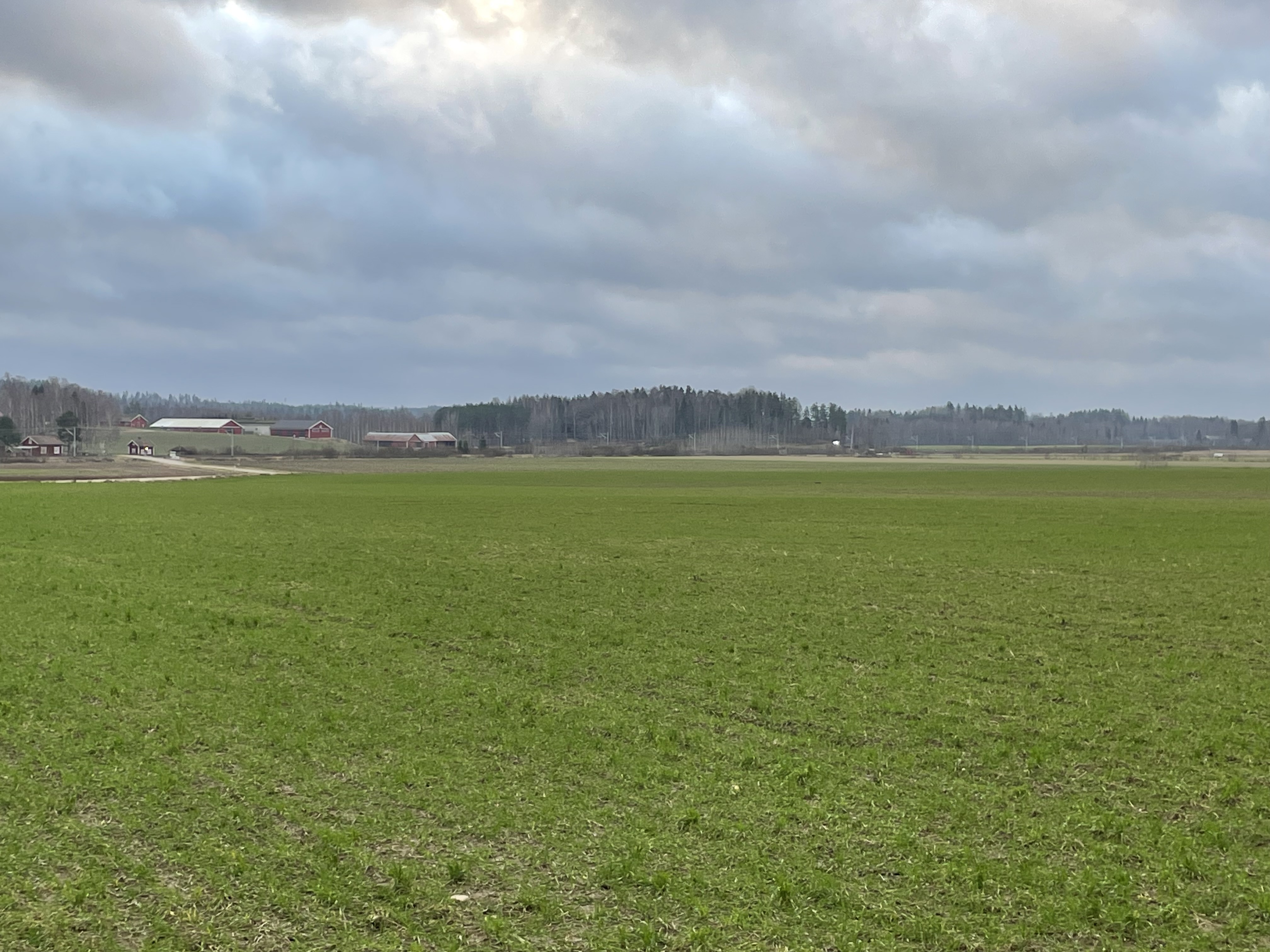 Yara Kotkaniemi 2.12.2024