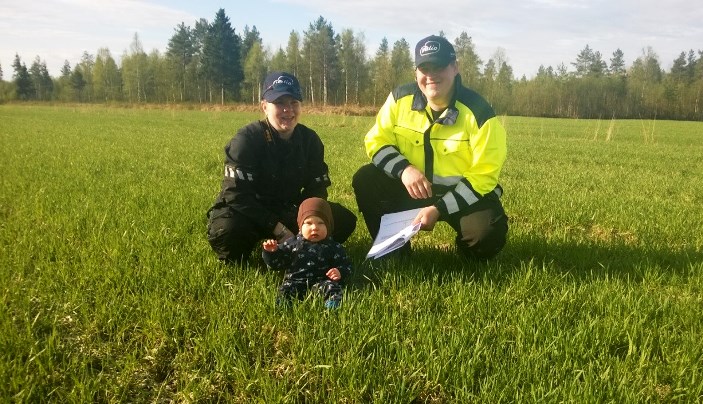 Nurmen ensimmäisen sadon D-arvoseuranta Vaalassa