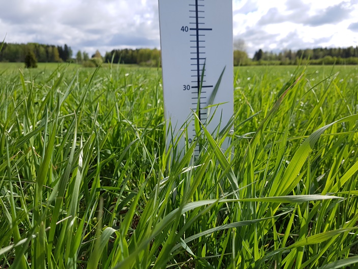 Nurmen D-arvoseuranta 2017