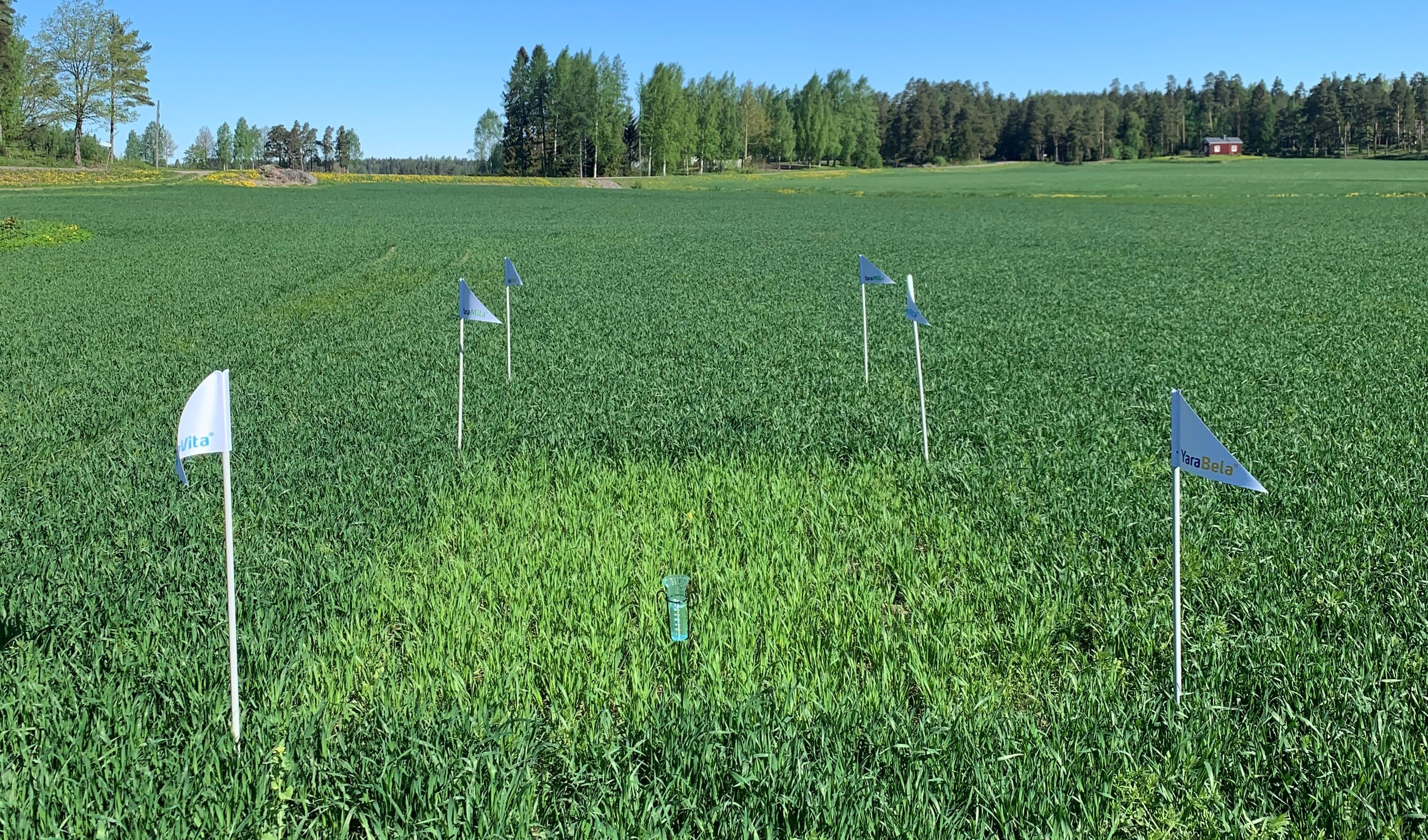 Nolla- ja ylilannoitusruudut Loviisassa  24.05.2021