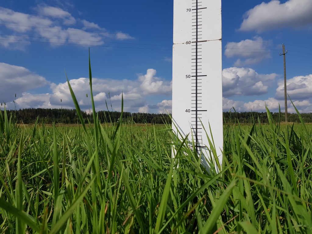 Nurmen kolmannen sadon D-arvoseuranta