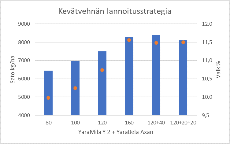 Yara Kotkaniemen kev&auml;tvehn&auml;n lannoituskokeen tuloksista selvi&auml;&auml;, ett&auml; kasvukaudella KWS Mistral hy&ouml;dynsi ravinteet tehokkaasti.