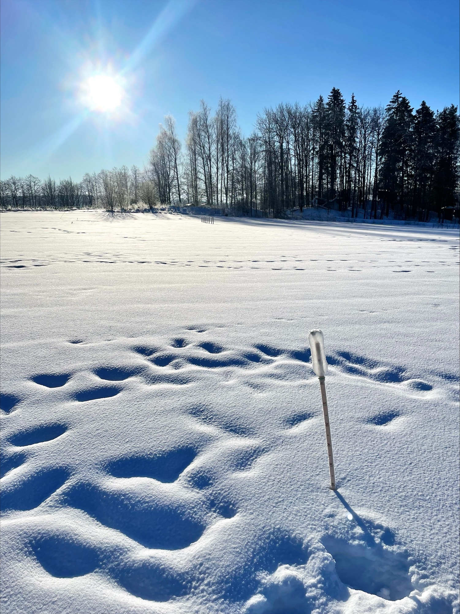 20.2.2026 Kotkaniemi