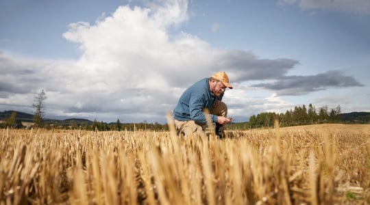 Testaa tilasi typenkäytön tehokkuus