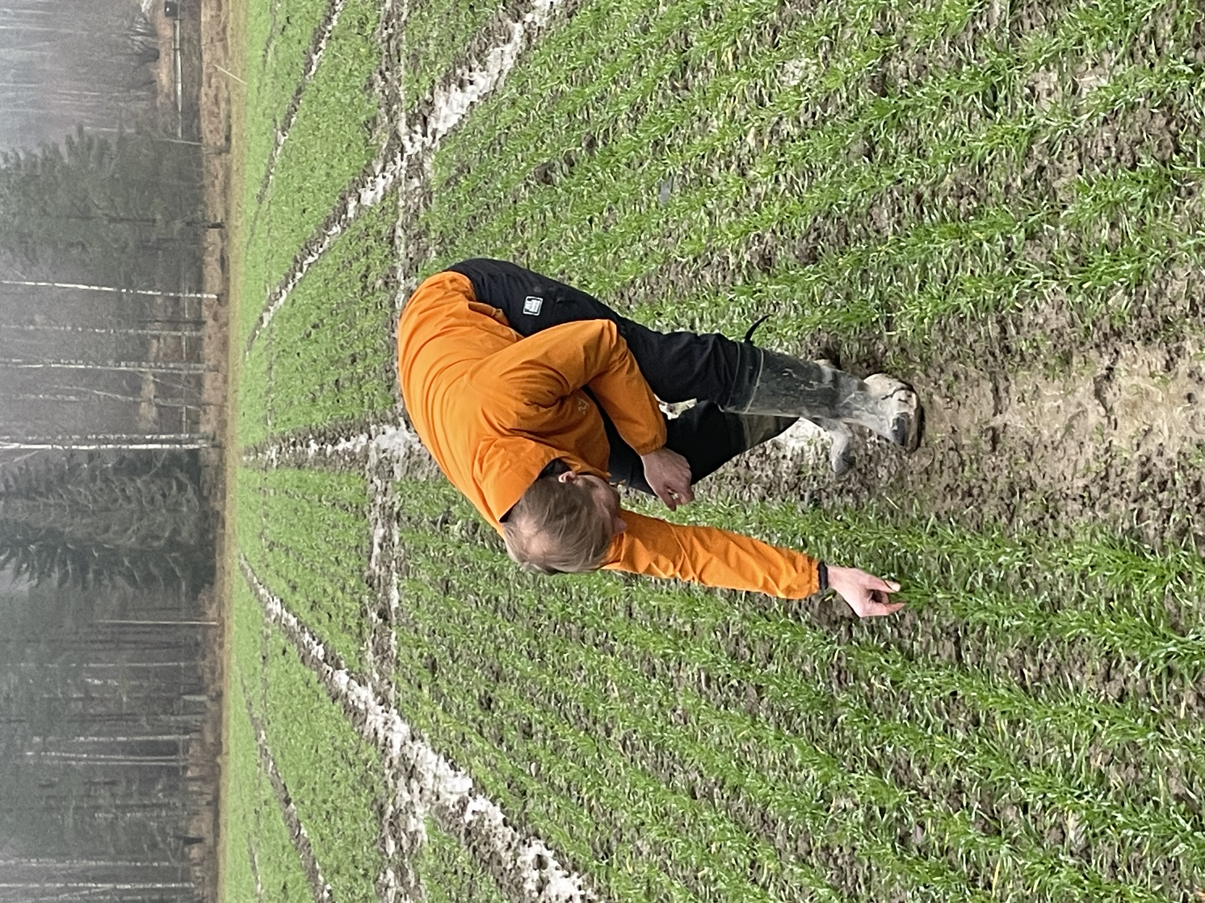 Mikko Sakala Lumi- ja routaseuranta 2025