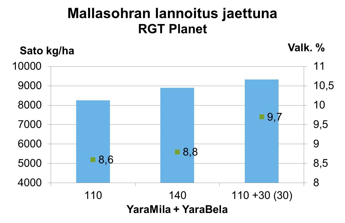 Mallasohran lannoitus jaettuna