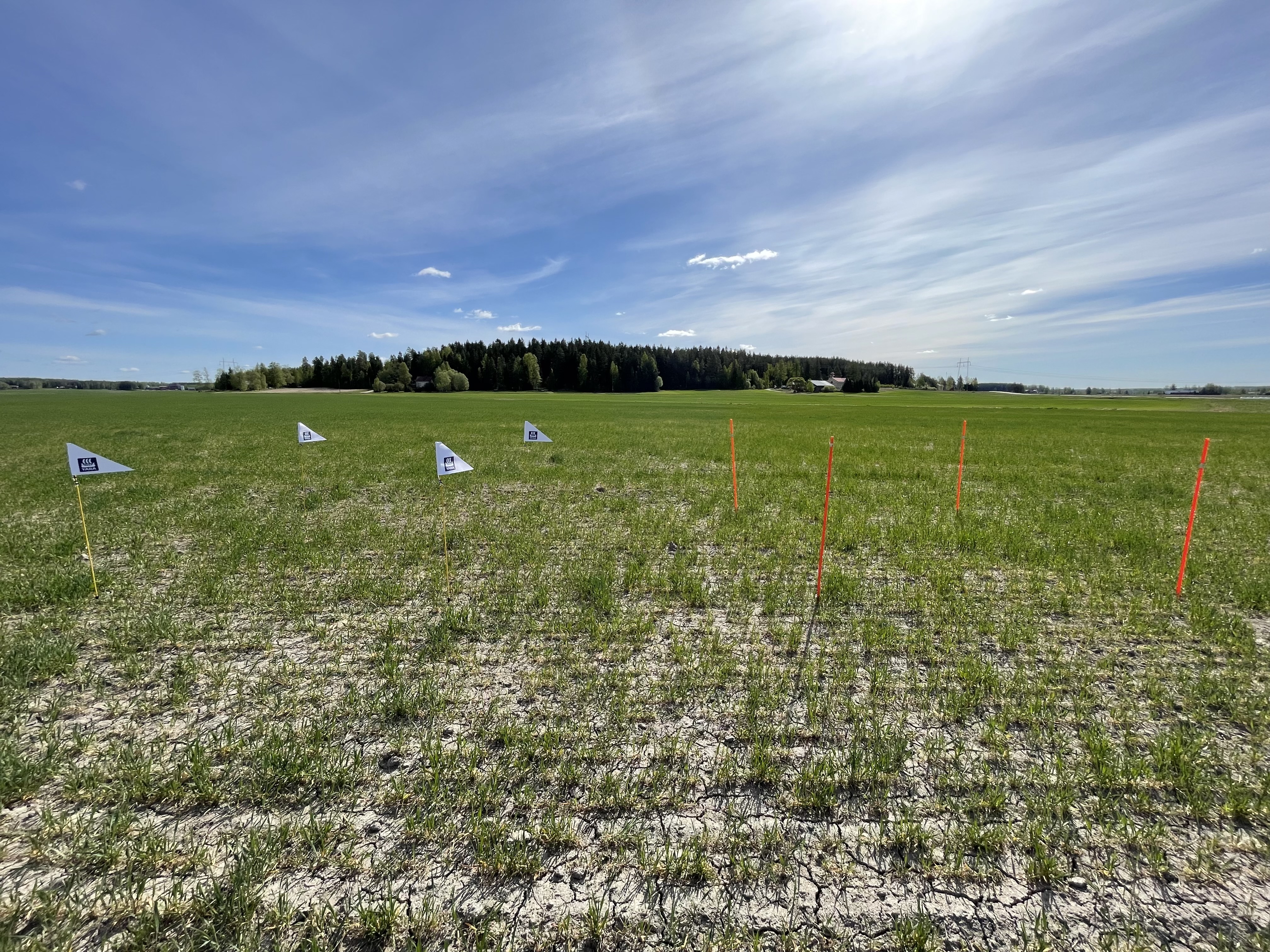 Lannoitusruudut, Kurikka 20.5.